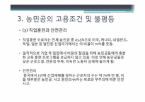 중국의 불평등 -농민공 문제-17