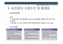 중국의 불평등 -농민공 문제-19