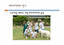 리얼버라이어티 무한도전 매력, 의의와 한계-7
