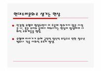 대중문화가 소비문화에 끼치는 영향-6