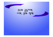 [유럽지역론] EU공동지역 및 사회 문화정책-1
