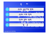 [유럽지역론] EU공동지역 및 사회 문화정책-2