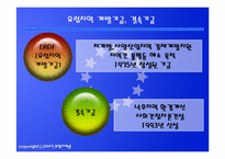 [유럽지역론] EU공동지역 및 사회 문화정책-8