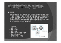 아내학대가정 레포트-9