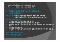 아내학대가정 레포트-17