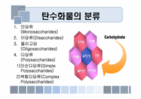 음식과 건강 레포트-11