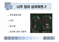 음식과 건강 레포트-14