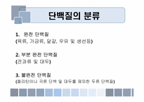 음식과 건강 레포트-17