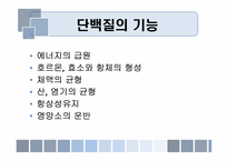 음식과 건강 레포트-19