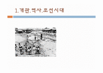 [생태학] 청계천의 과거, 현재, 그리고 미래-3