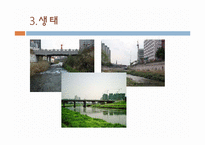 [생태학] 청계천의 과거, 현재, 그리고 미래-16
