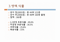 [생태학] 청계천의 과거, 현재, 그리고 미래-18
