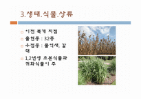 [생태학] 청계천의 과거, 현재, 그리고 미래-19