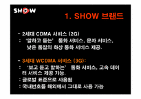 쇼(show) 광고전략분석과 문제점및 해결방안-3
