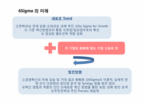 [품질경영]한국의 6Sigma(식스시그마) 발전-5
