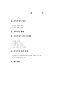 [사회복지]모자가정 현황과 문제점 및 관련 정책-1
