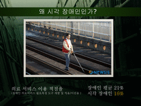 [지역사회의학]시각장애인의 의료정보 접근성과 영향 요인 분석-3