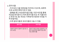 [초등교육]식물의 한살이-8