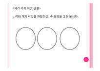 [초등교육]식물의 한살이-12