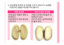 [초등교육]식물의 한살이-14