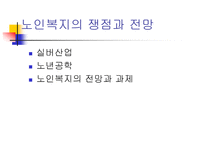 [노인복지]노인복지의 쟁점과 전망-2