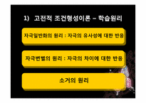 [심리학]행동주의 상담이론(행동치료)에 대하여-5