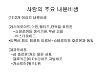 [생물학]내분비계-6