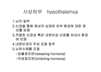 [생물학]내분비계-12
