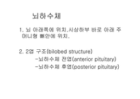 [생물학]내분비계-15