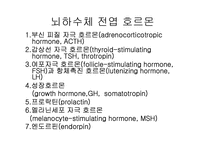 [생물학]내분비계-19