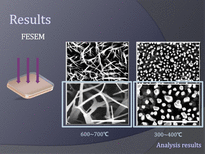 [화학공학]Carbon-assisted synthesis of aligned Zno nanowires(영문)-8