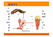[초등과학 교육수업]작은 생물의 세계-7