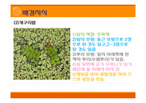 [초등과학 교육수업]작은 생물의 세계-10