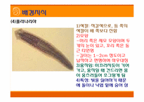 [초등과학 교육수업]작은 생물의 세계-12