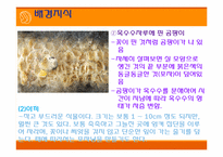 [초등과학 교육수업]작은 생물의 세계-14