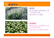 [초등과학 교육수업]작은 생물의 세계-15
