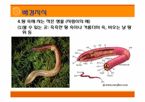 [초등과학 교육수업]작은 생물의 세계-16