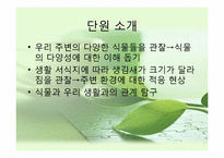 [초등과학 교육수업]식물의-3