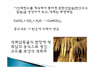[초등과학 교육수업]여러가지 기체-18