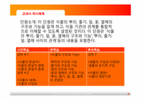 [초등과학교육]식물의 구조와 기능-2