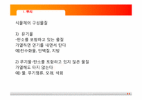[초등과학교육]식물의 구조와 기능-11
