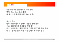 [초등과학교육]식물의 구조와 기능-12