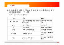 [초등과학교육]식물의 구조와 기능-13
