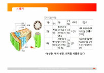 [초등과학교육]식물의 구조와 기능-14