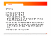 [초등과학교육]식물의 구조와 기능-16