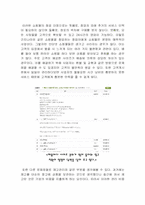 [경영정보] MIS를 통한 의류 쇼핑몰의 고객 만족도 증대방안(남성의류 쇼핑몰 간지나라를 중심으로)-3