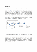 [경영정보] MIS를 통한 의류 쇼핑몰의 고객 만족도 증대방안(남성의류 쇼핑몰 간지나라를 중심으로)-8