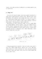 [경영정보] MIS를 통한 의류 쇼핑몰의 고객 만족도 증대방안(남성의류 쇼핑몰 간지나라를 중심으로)-13