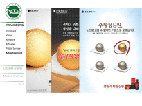 [IDENTITYDESIGN] 광동제약의 IDENTITY DESIGN 분석 및 제안-9