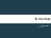 [국제경영론] 개발도상국에서의 FDI와 그 사례-11